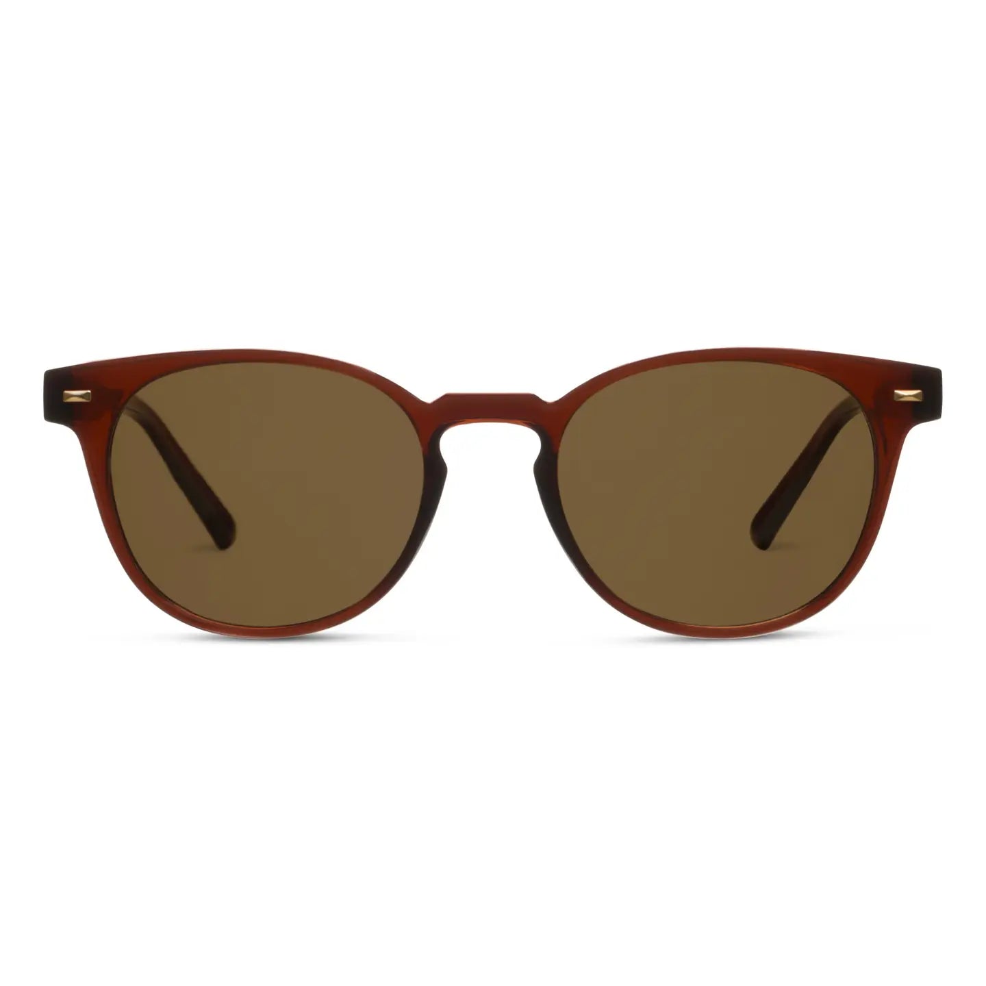 Brown sunglasses with a white background