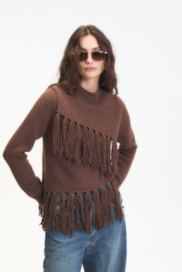 Person wearing a brown fringed sweater and sunglasses on a white background