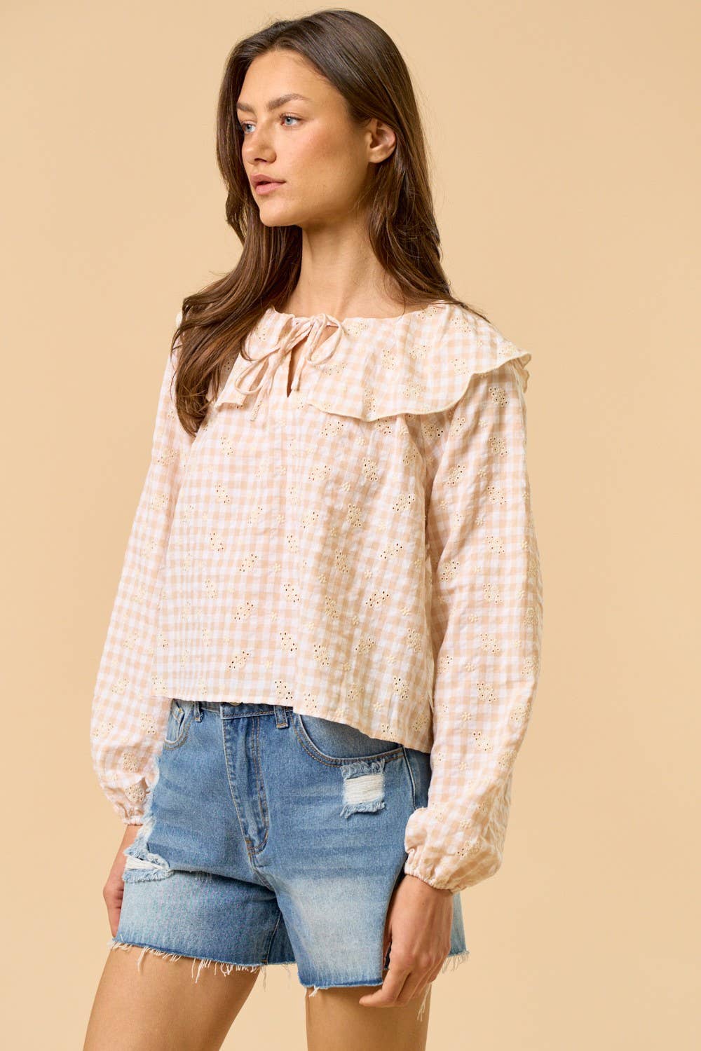 Gingham Eyelet Front Tie Ruffled Collar Top