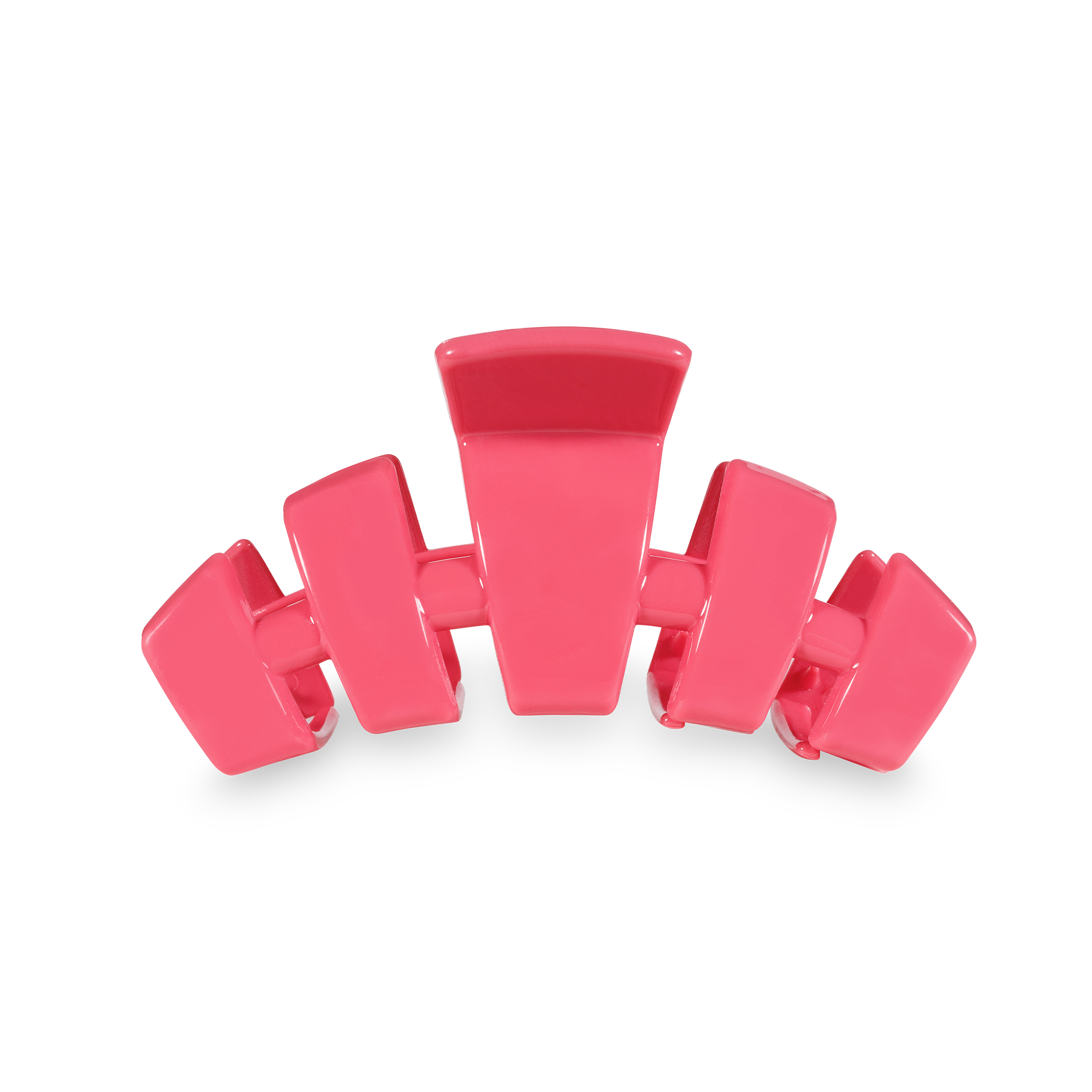 Classic Bikini Boardroom Medium Hair Clip