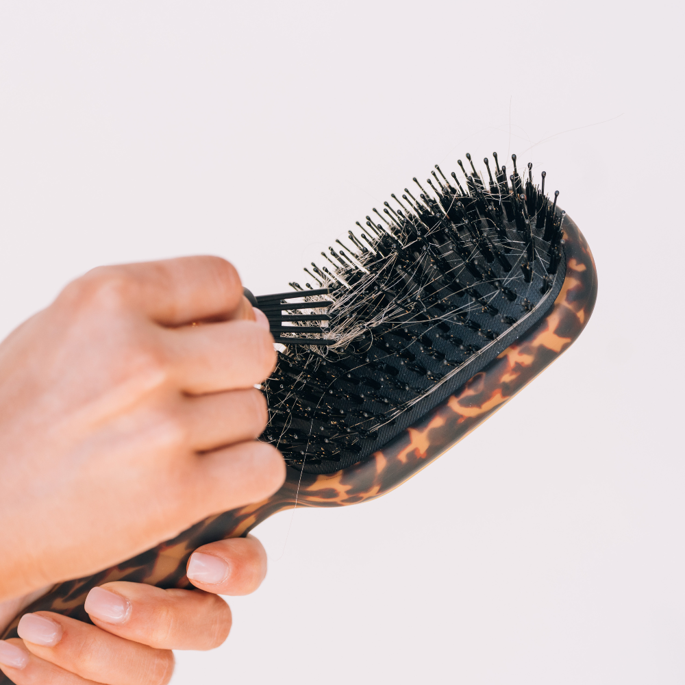 Teleties Boar Brush | Full Size | Tortoise Brush