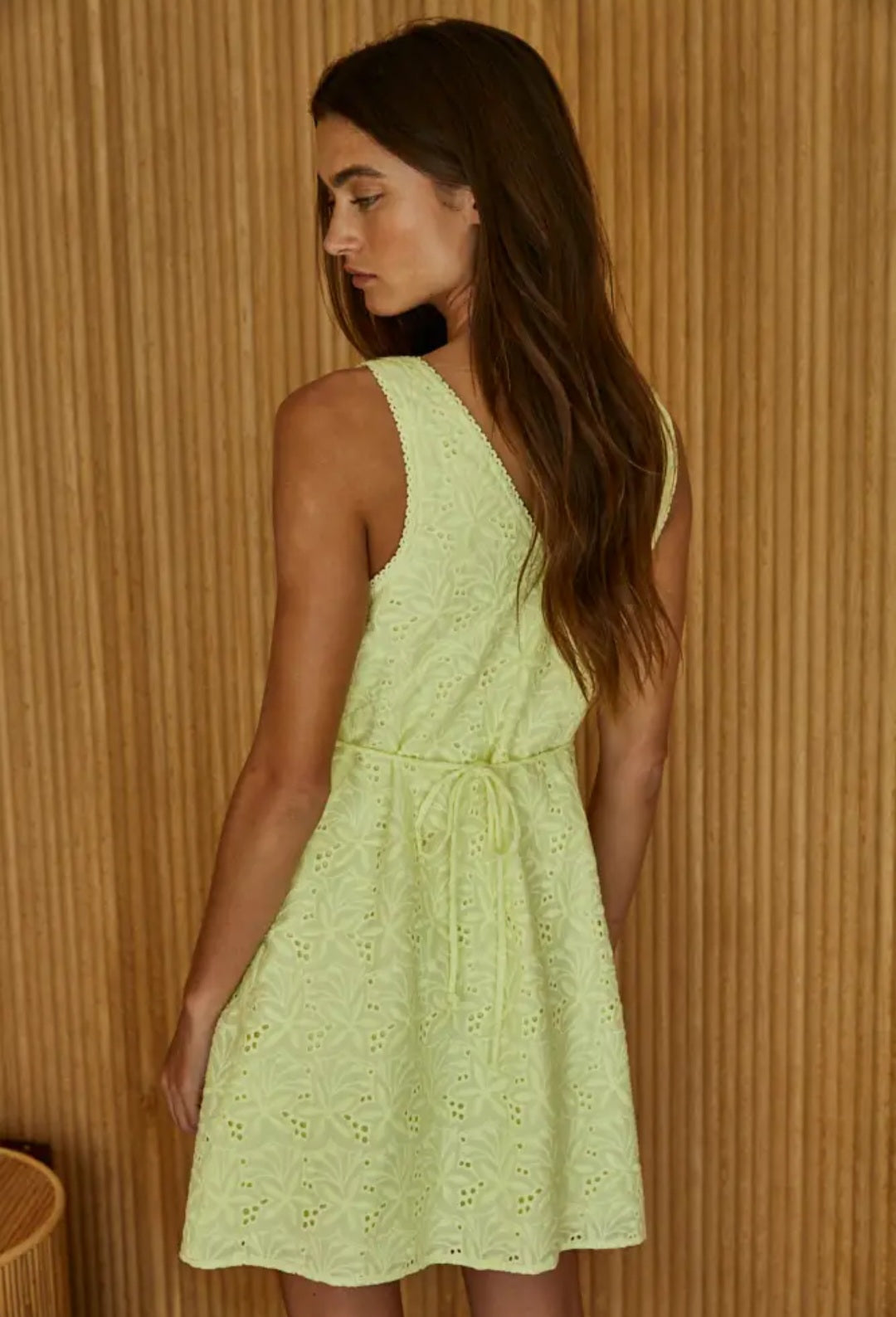 Golden Thread Embroidered Dress