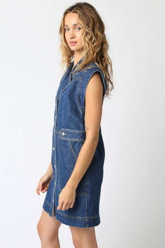 Sydney Denim Dress