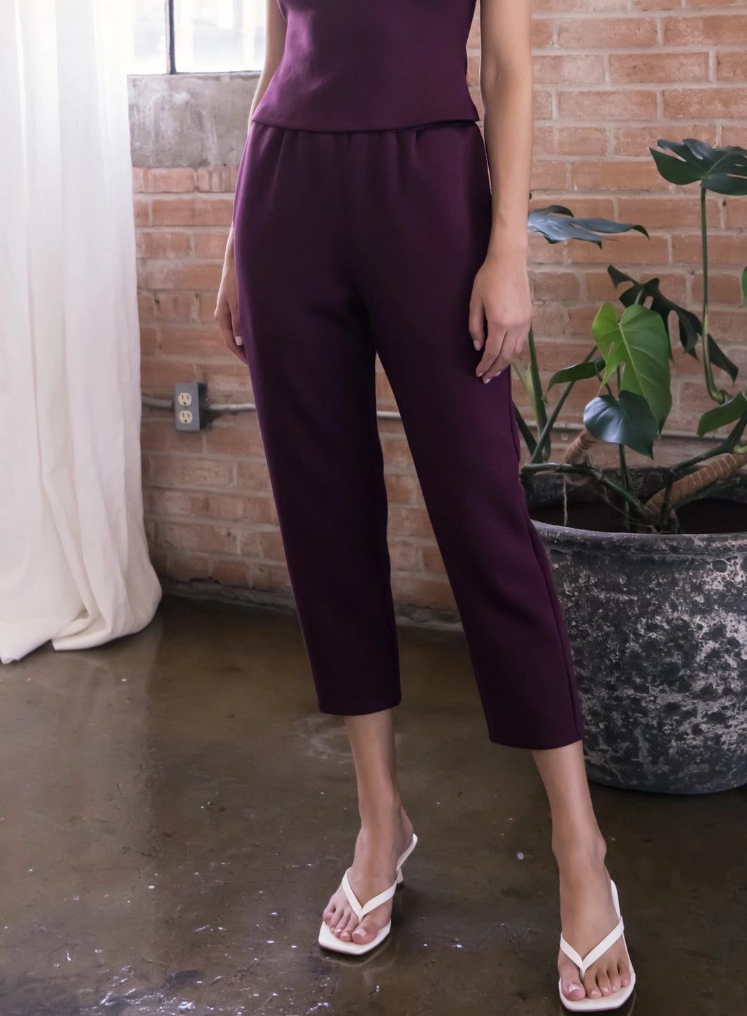 Person wearing a purple outfit standing in front of a brick wall with a plant.