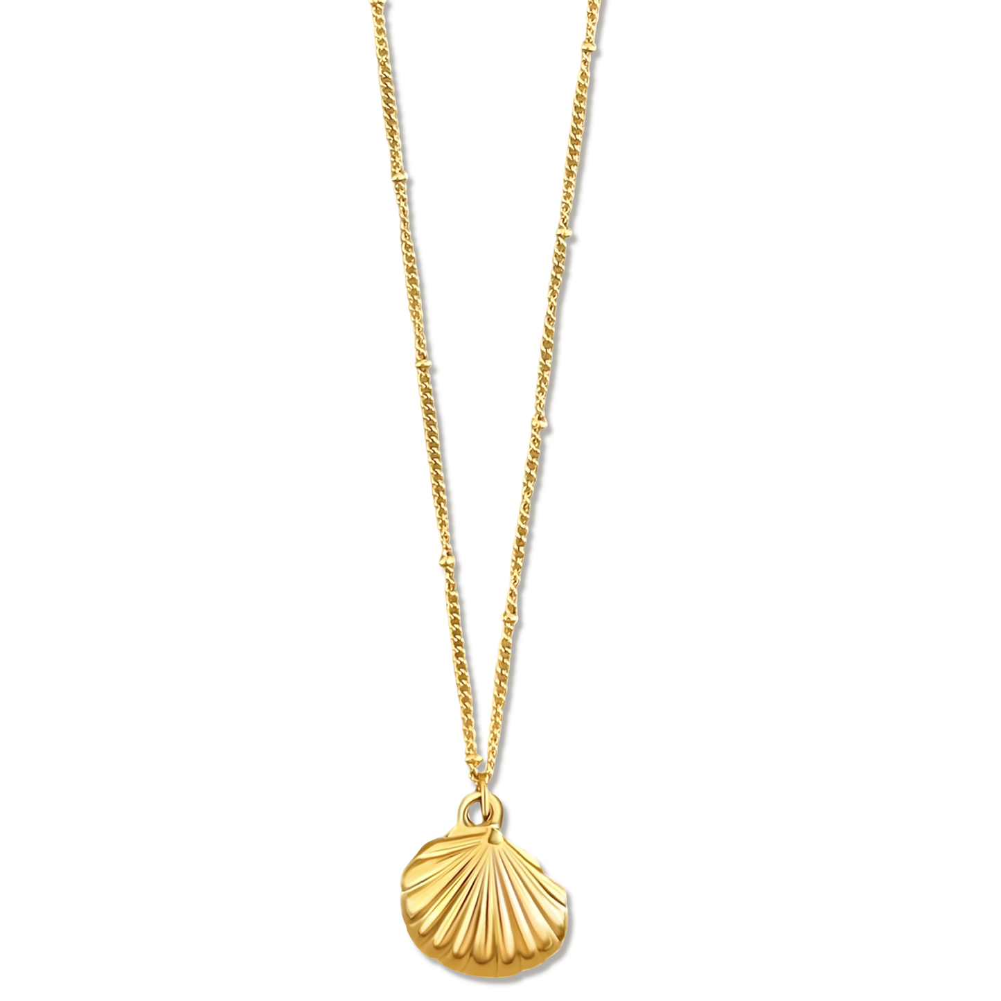 Ellie Vail - Georgina Shell Pendant Necklace