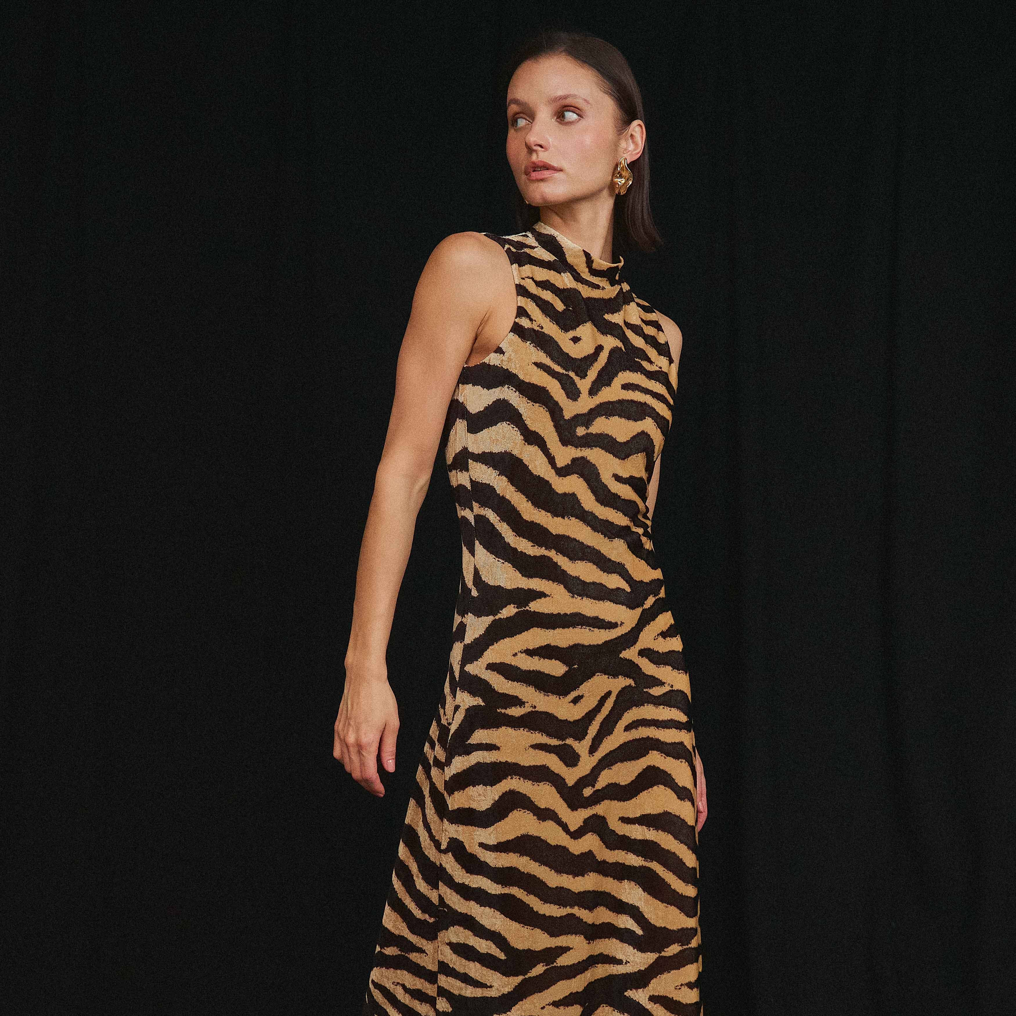 Animal Print Maxi Dress