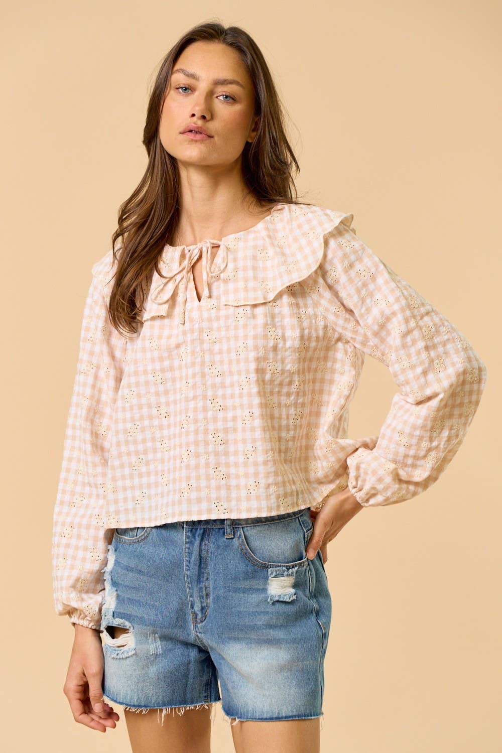 Gingham Eyelet Front Tie Ruffled Collar Top