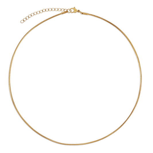 Amara Dainty Snake Chain Choker Necklace